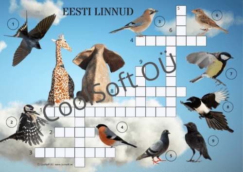 Eesti lindude ristsõna tööleht koos lindude piltidega