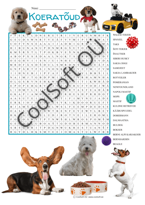 Koeratõugude sõnaotsingu tööleht lastele koos erinevate koerte illustratsioonidega