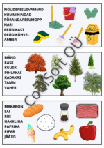 15-leheküljeline pildisõnastiku töölehtede komplekt lastele erinevate teemade ja illustratsioonidega