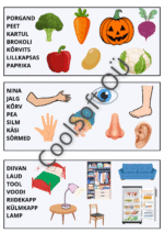 15-leheküljeline pildisõnastiku töölehtede komplekt lastele erinevate teemade ja illustratsioonidega