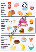 15-leheküljeline pildisõnastiku töölehtede komplekt lastele erinevate teemade ja illustratsioonidega