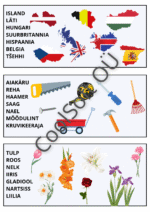 15-leheküljeline pildisõnastiku töölehtede komplekt lastele erinevate teemade ja illustratsioonidega