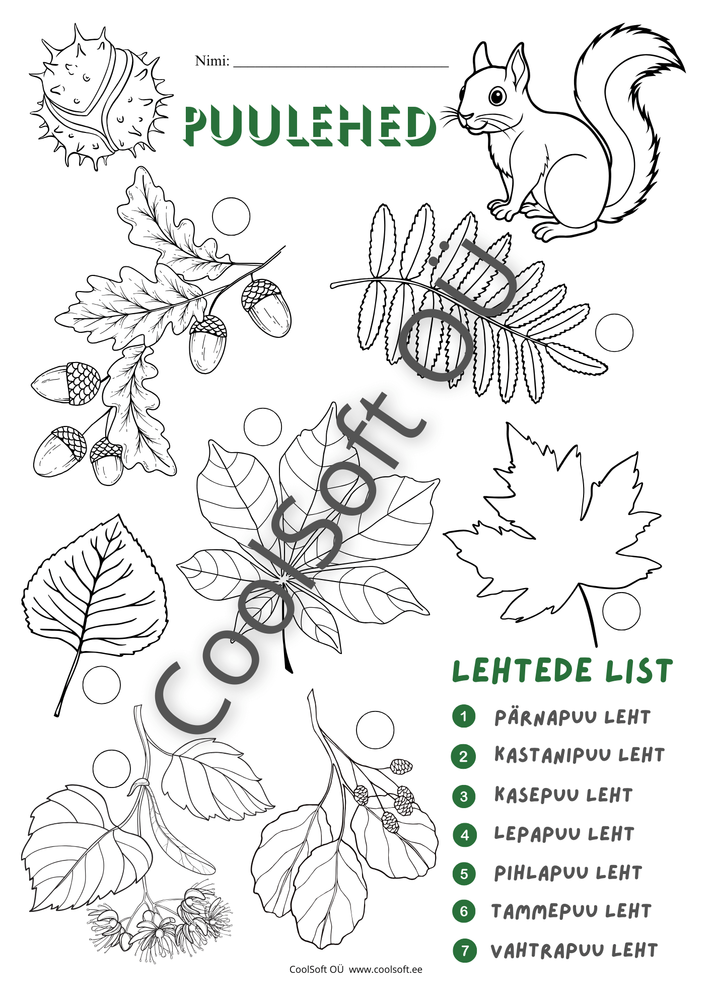 Puulehed-–-loodusopetuse-tooleht-algklassidele Puulehed tööleht, kus laps seob piltidel olevad lehed õigete nimetustega.
