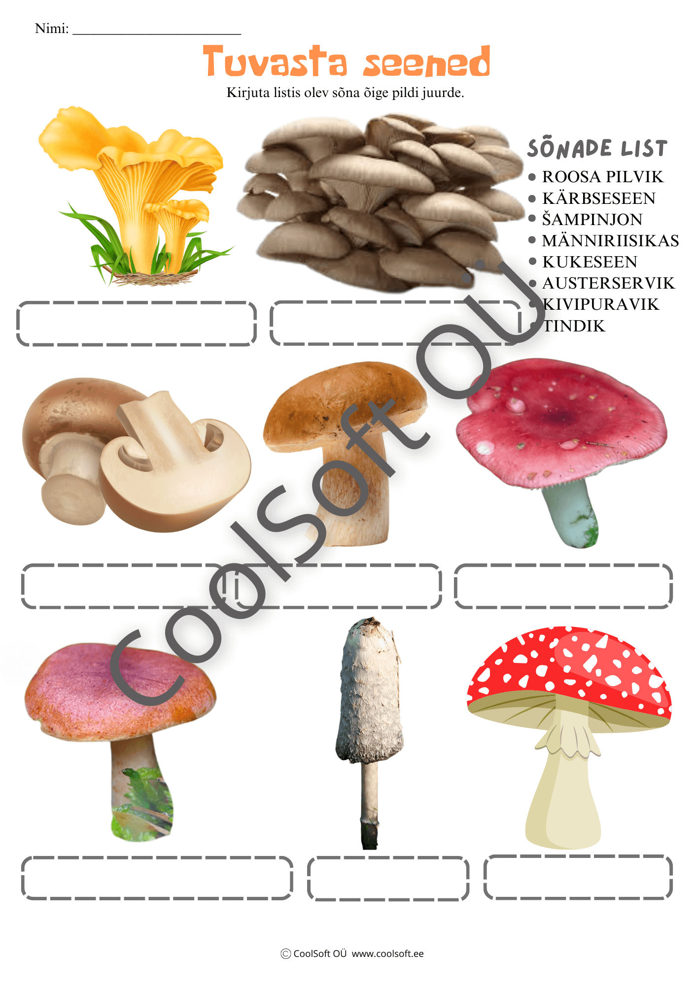 Tuvasta-seened-–-seente-nimetamise-tooleht-lastele Tööleht „Tuvasta seened”, kus laps kirjutab seente nimetused vastavate piltide juurde