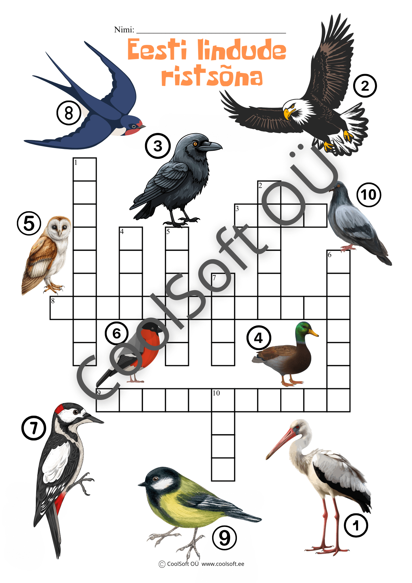 eesti-lindude-ristsona Eesti lindude ristsõna tööleht erinevate Eesti lindude piltidega.