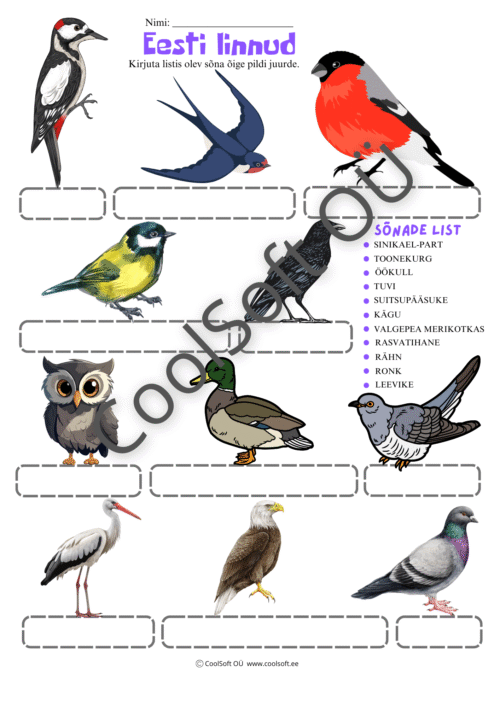 Eesti lindude tööleht piltidega ja tühjade kastidega linnunimede kirjutamiseks.