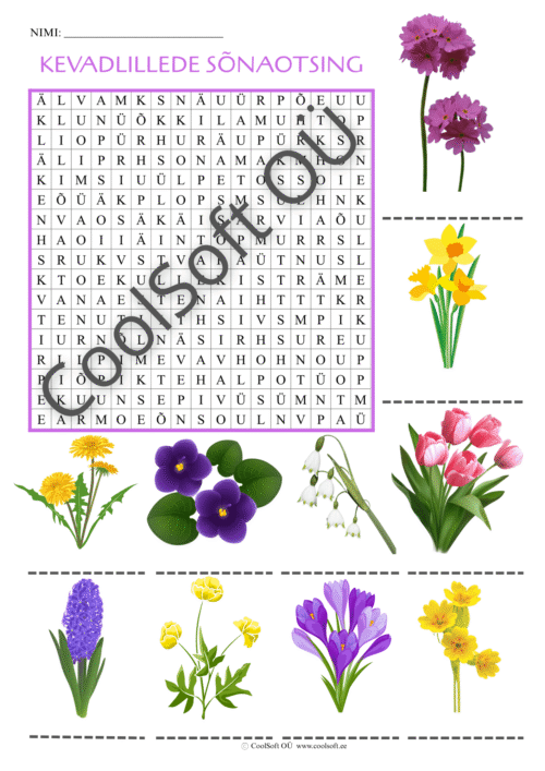 Tööleht „Kevadlillede sõnaotsing“, millel laps otsib täherägastikust kevadlillede nimetusi.