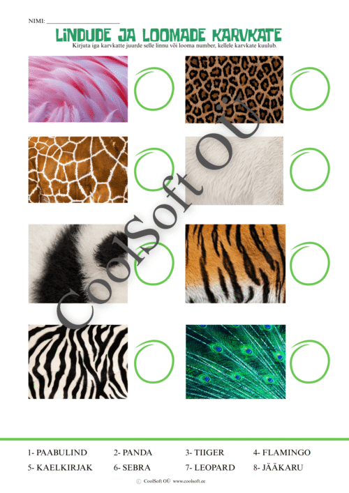Lindude ja loomade karvkatete tööleht, kus laps peab sobitama karvkatte pildi õige looma või linnuga.