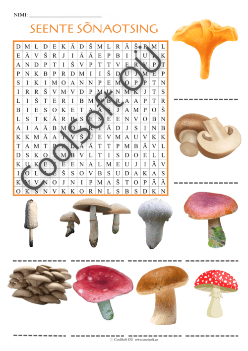 Tööleht „Seente sõnaotsing“ – lastele mõeldud harjutus, kus tuleb leida sõnaruudustikust erinevate seente nimetused. 🍄