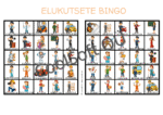 Elukutsete bingo – värviline õppemäng, kus lapsed peavad vihjete põhjal leidma oma bingokaardilt õige elukutse esindaja, näiteks õpetaja, arst või tuletõrjuja. 🎓