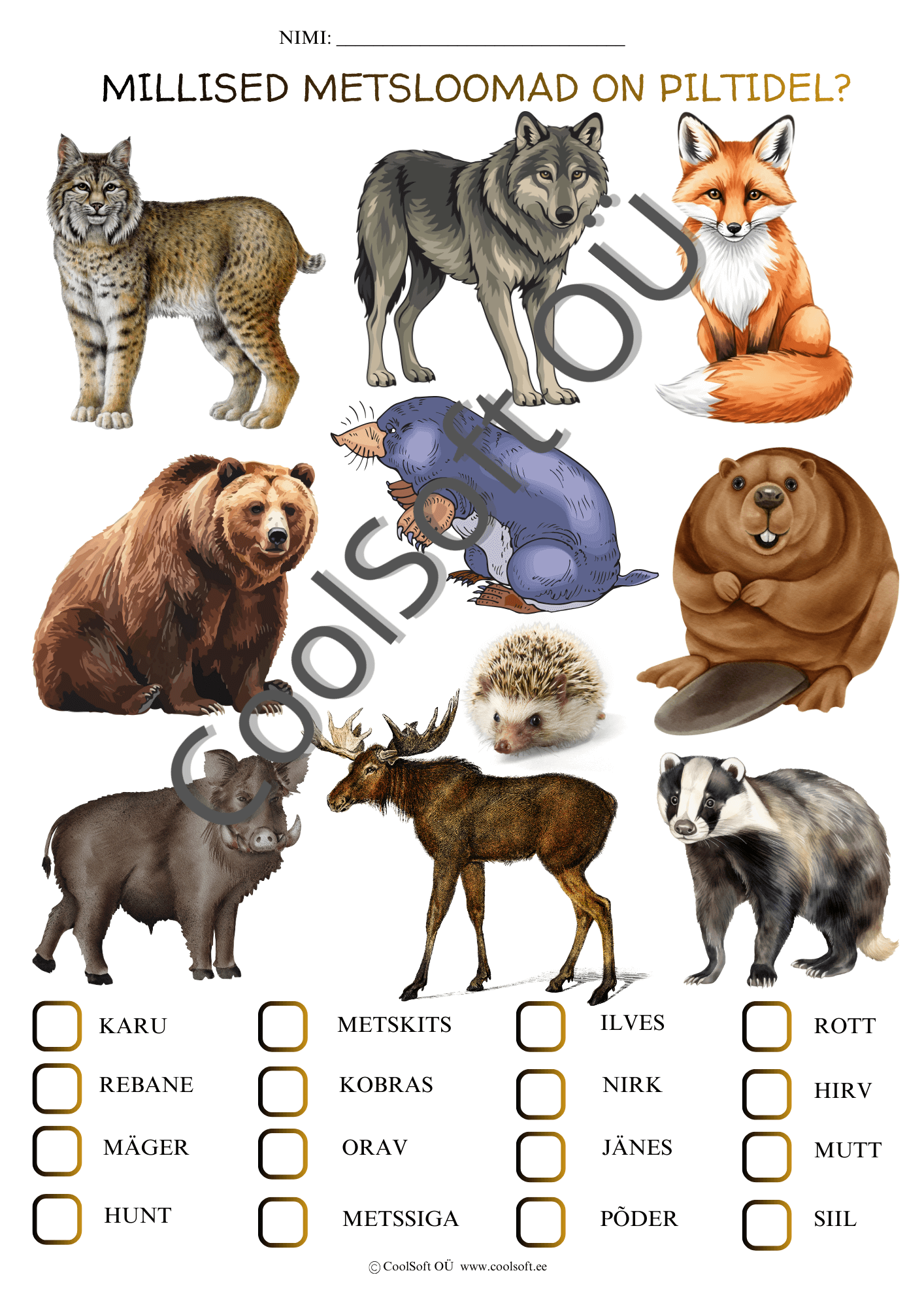 millised metsloomad on piltidel Metsloomade tööleht piltidega, kus lapsed peavad valima õige loomanime iga kujutatud metslooma juurde.