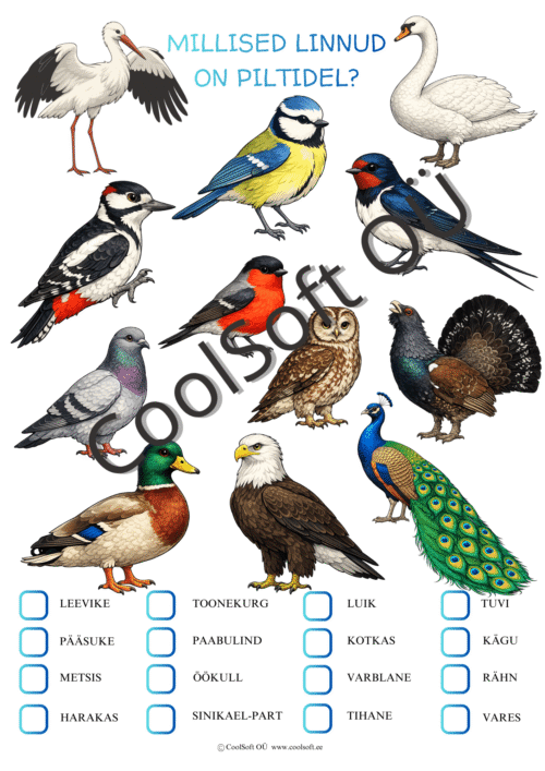 Lindude õppimistööleht lastele, kus tuleb piltide järgi tuvastada ja märkida õiged linnunimetused.